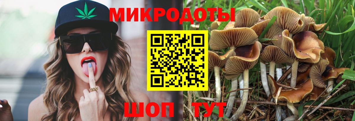 Медногорск  Псилоцибиновые грибы прущие грибы  Вход с VPN 