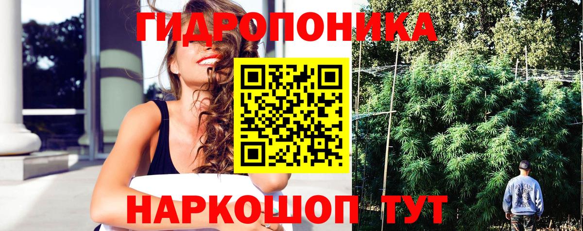 Конопля VHQ  Бошки Шишки семена  Марихуана конопля  Вход с VPN  Медногорск  Бошки Шишки Ganja 
